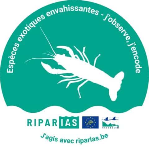 escpèces toxiques