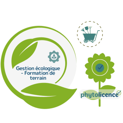 formation de terrain