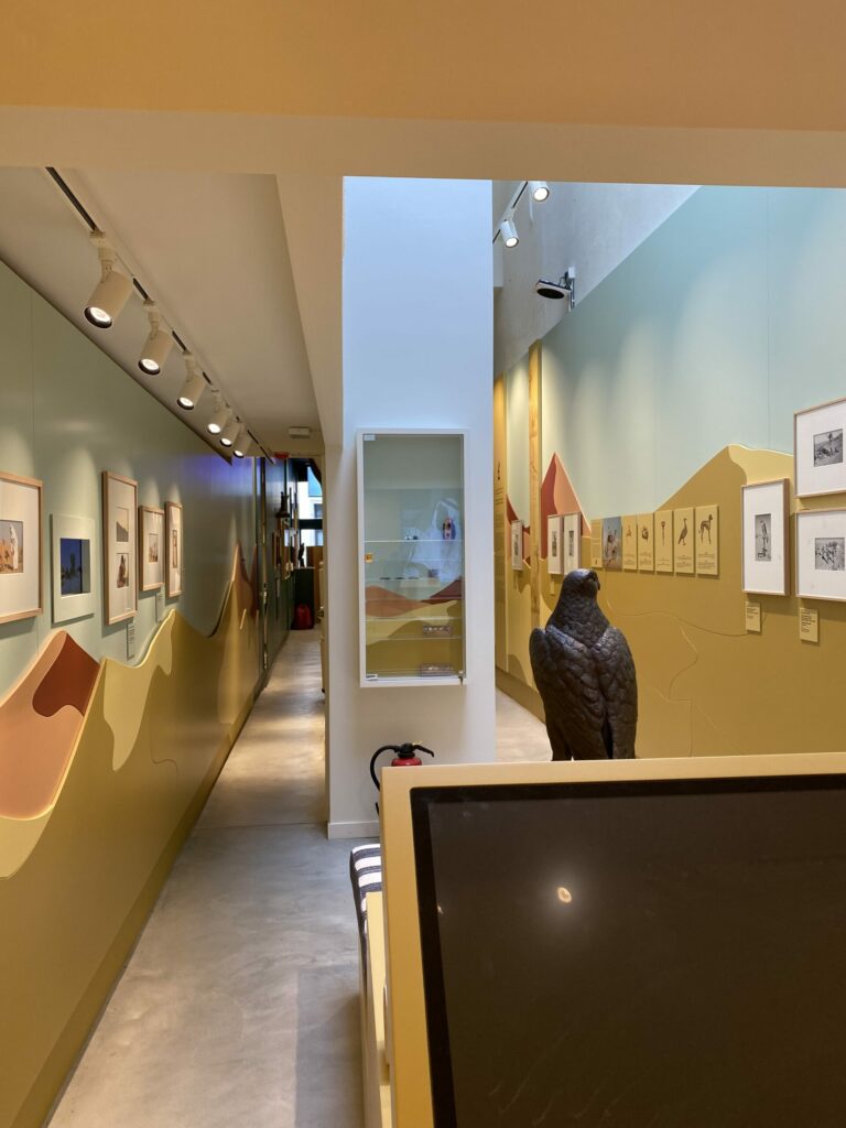 Musée de la Fauconnerie (rue de flandre à Bruxelles) (photo CAZ)