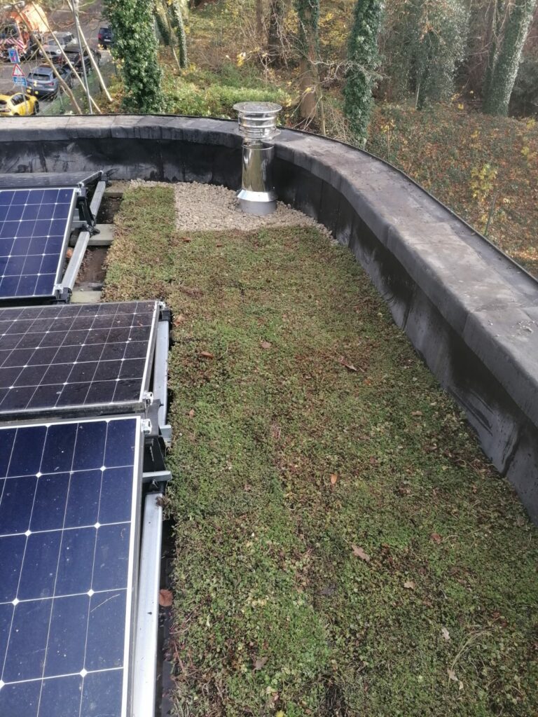 whatsapp image 2024 12 16 at 15.37.52 1