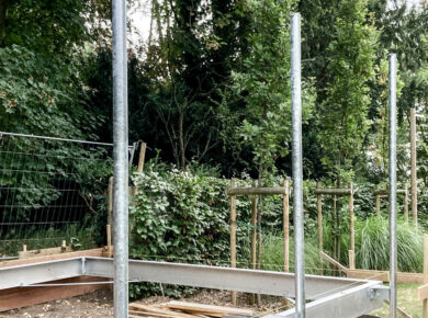 Copyright: Alizee Dassonville