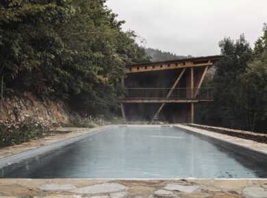 tijs vervecken woodstock bc z g6a8668