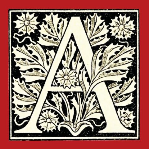 logo carré