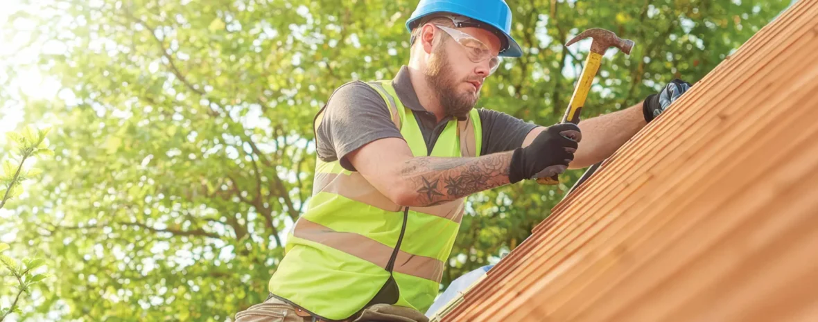 bw gids daken banner 1